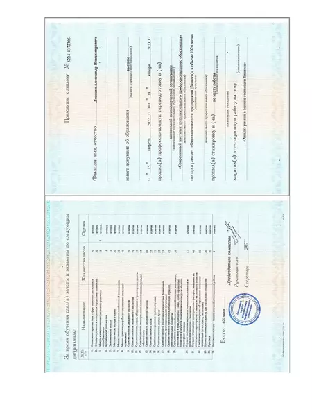 Диплом Ложкин оценка предприятий стр. 2